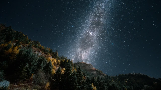 Milky Way Over Forest Night View
