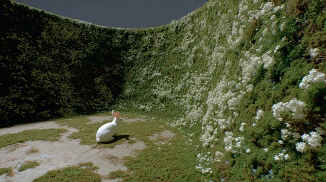 Grass Tunnel Garden with Rabbit Hyperrealistic View
