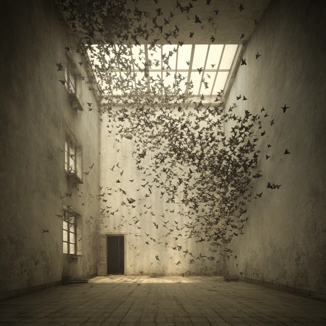Birds Exploding Into a Room Architectural Photography