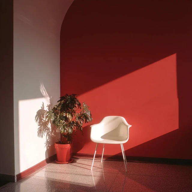 Minimalist Interior Red Chair and Plant Installation