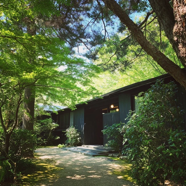 Modern Black House in the Woods  Beautiful Light and Shadow