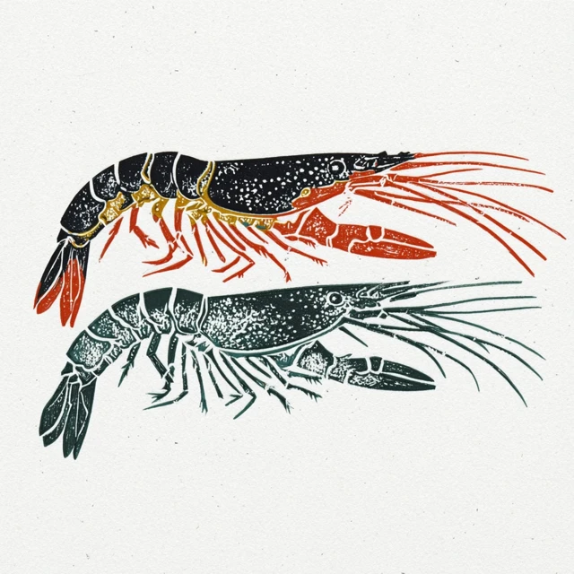 Shrimp Linocut Art Print Two Color Design