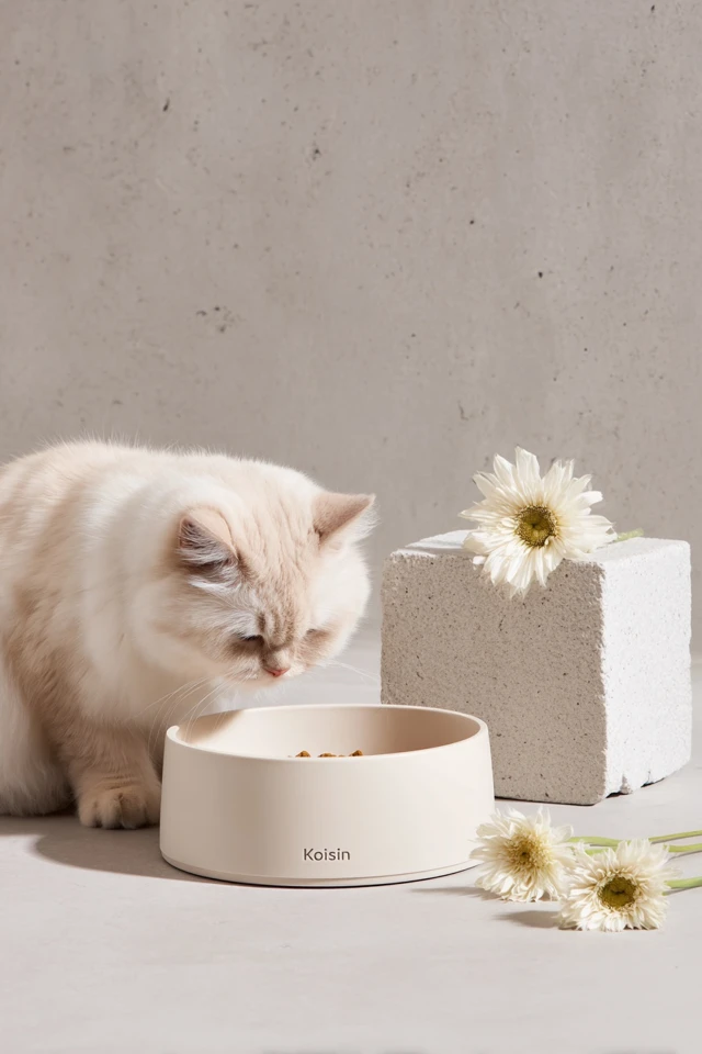Koisin Cat Bowl Product Photography