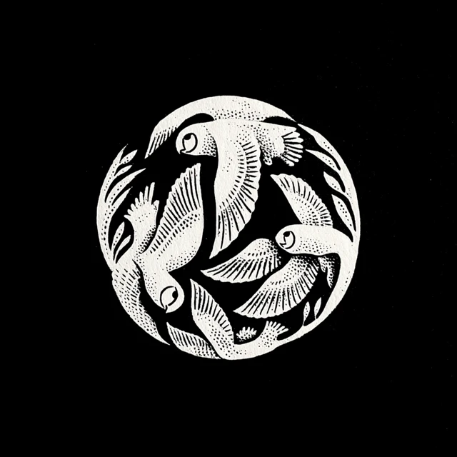 Owl Engraving: Circular Flight of Owls Illustration