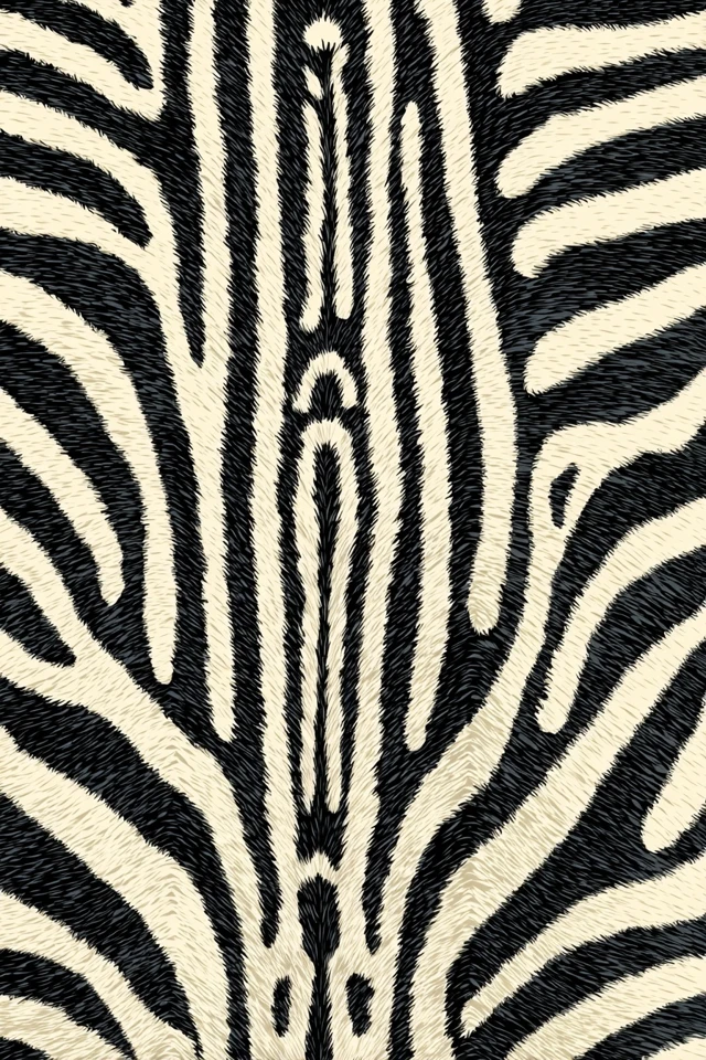 Zebra Skin Pattern Seamless Illustration