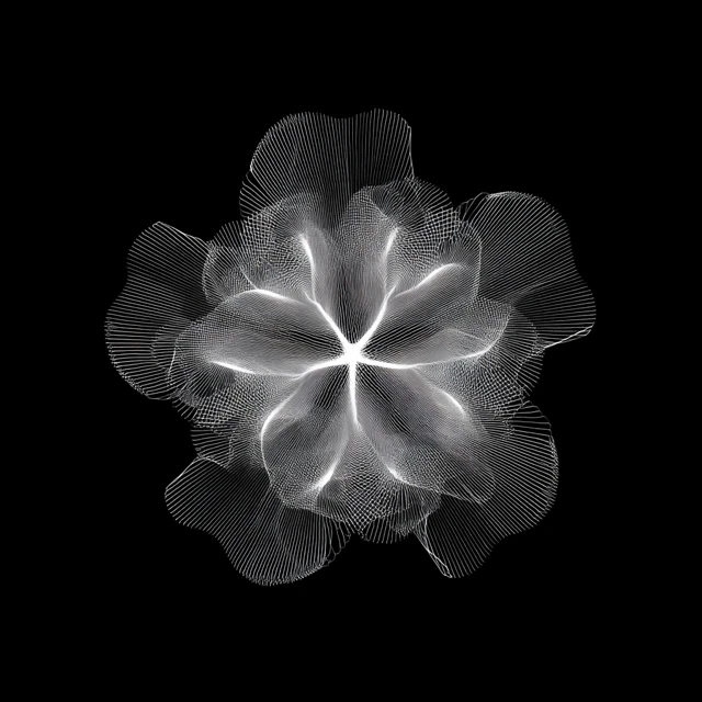 Abstract Flower Design Geometric Parametric Art
