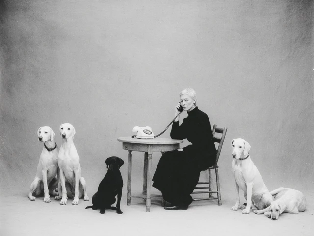 Black and White Portrait Woman Dogs Domestic Chaos