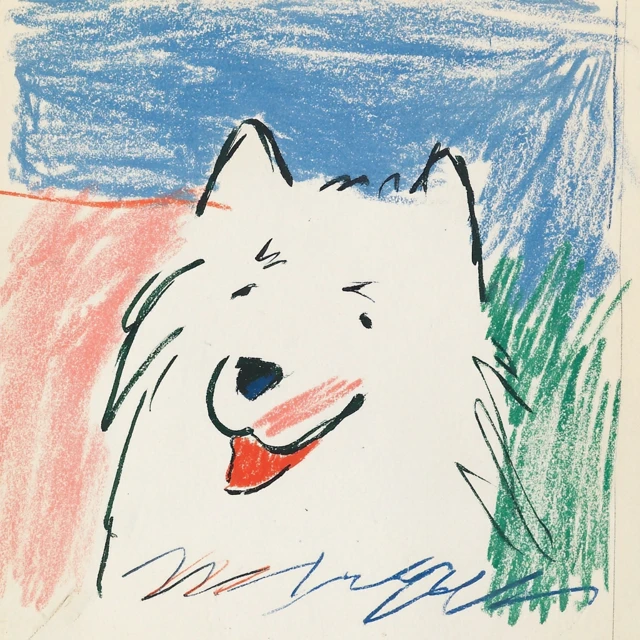Happy Samoyed Dog Hand Drawn Artwork
