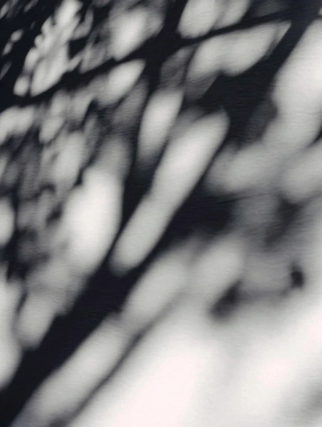 Shadows and Light Natural Pattern