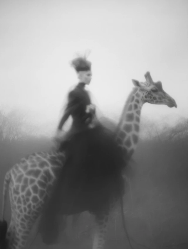 Venus of Lespugue on Giraffe Sarah Moon Photography