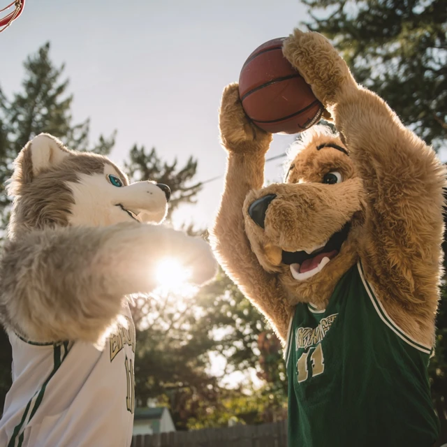 Basketball Mascots Playing Intense Game