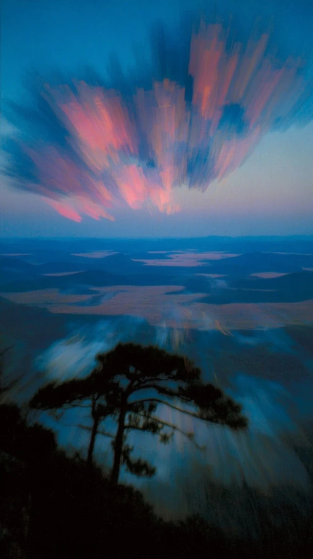 Epic Sunrise View Across Forest Canopy Cinematic Photography