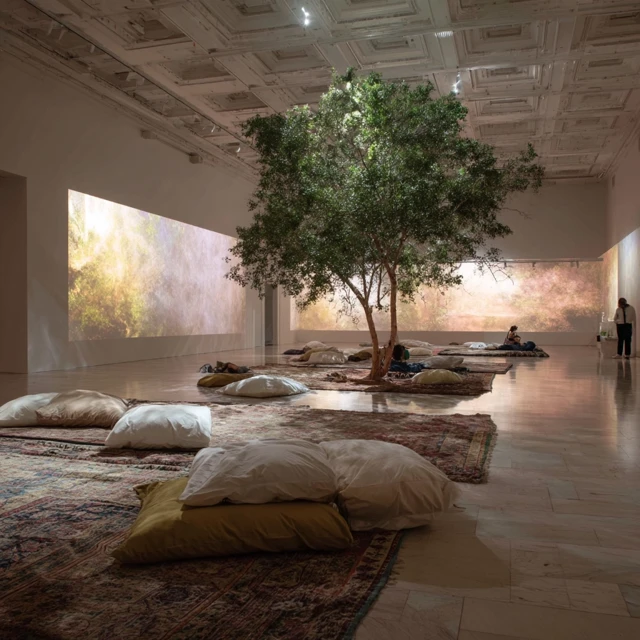 Art Museum Installation Relaxing Experience