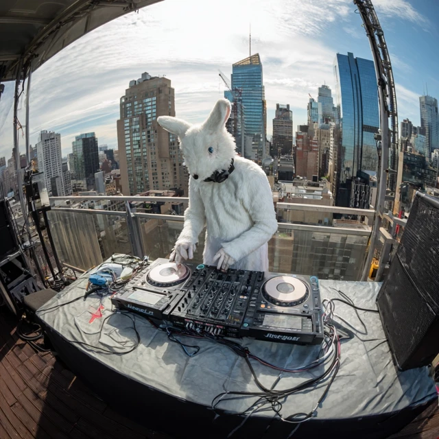 White Rabbit DJ Rooftop EDM Music Live Stream NYC