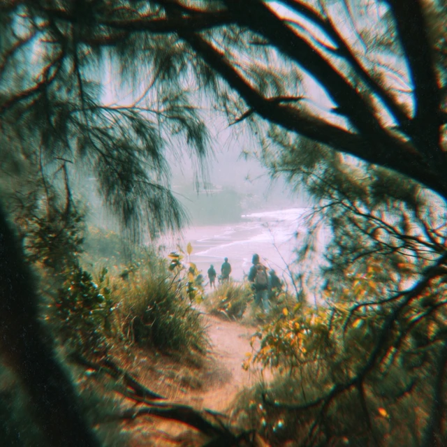 Long Bay New Zealand VHS Still Nature Scene