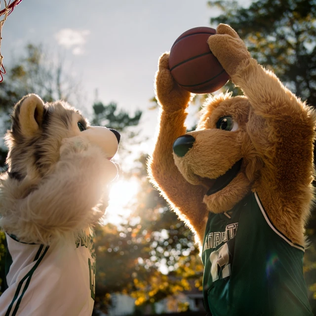 Basketball Mascots Playing Intense Game