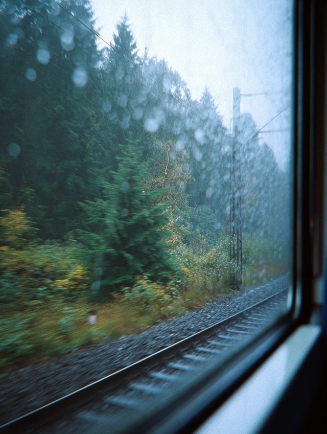 Train Journey Through Forest Film Photography