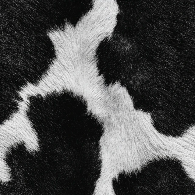 Black and White Cow Leather Texture