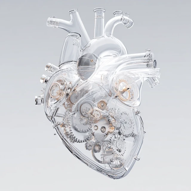 Mechanical Heart Transparent Anatomy Illustration