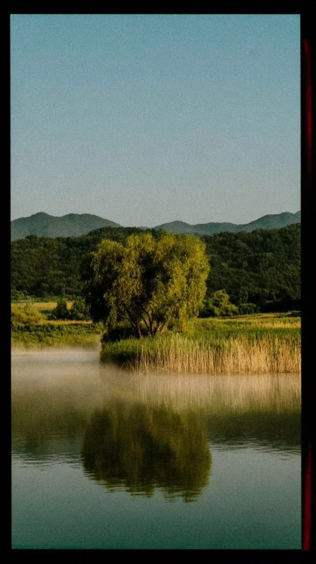 Dreamy Summer Scenery Pastel Colors Mobile Wallpaper