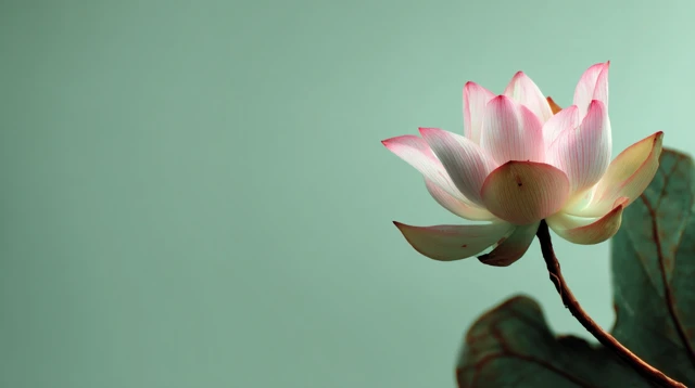 Lotus Flower Painting Botanical Art Nature