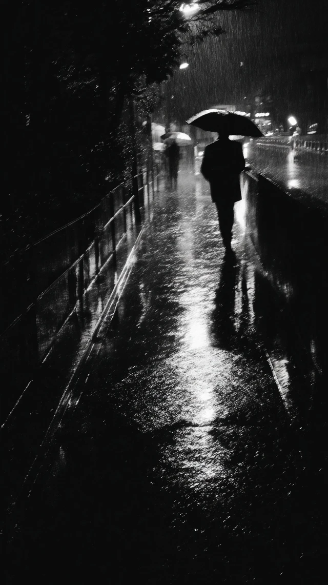 Rainy Night Photograph People in the City