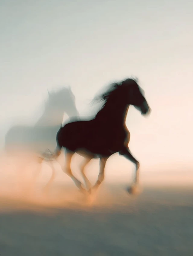 Galloping Horse: Black and White Photo on the Steppe