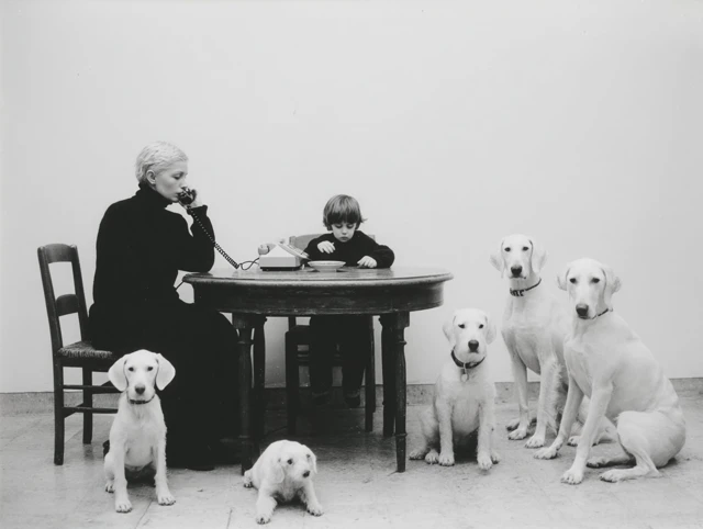 Black and White Portrait Woman Dogs Domestic Chaos