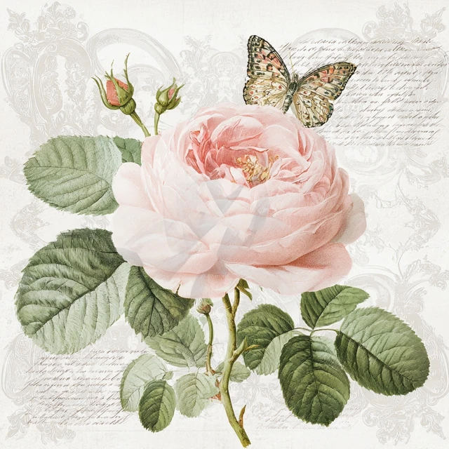 Vintage Watercolor Pink Rose Butterfly Art