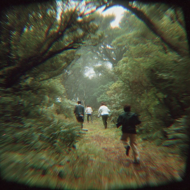 Long Bay New Zealand VHS Still Nature Scene