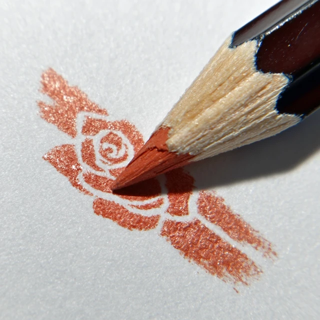 Pencil Art Rose Illustration in Dual Tone