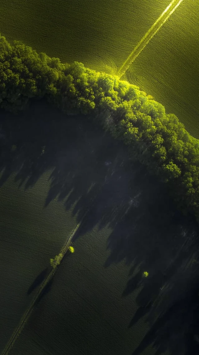 Aerial Forest and Farmland Landscape