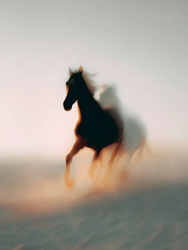 Galloping Horse: Black and White Photo on the Steppe