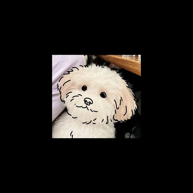 Maltipoo Tattoo Stencil Minimalist Black and White