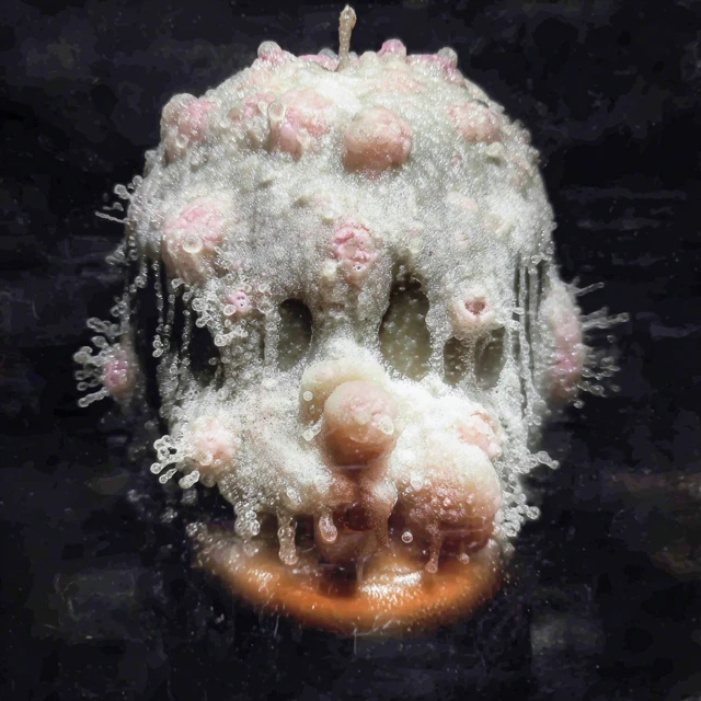 Decaying Candle Beauty and Rot Indistinguishable