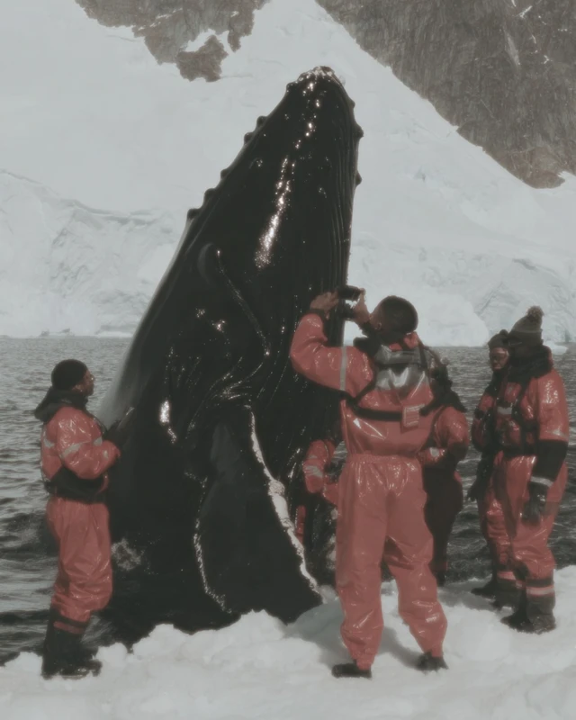 Researchers in Antarctica Discovering a Mysterious Object