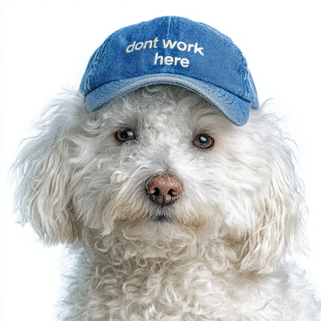 Funny Bichon Frise Dog Wearing I Dont Work Here Cap