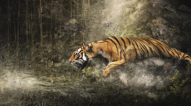 Tiger in Rainforest Fractal Art National Geographic