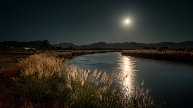 Moonlit River Landscape Peaceful Calm Nature