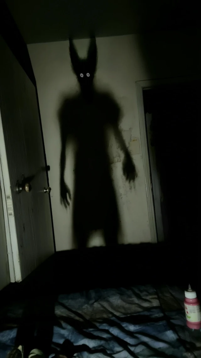 Devils Shadow in Bedroom Scary Image