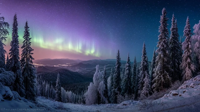 Northern Lights Over a Winter Forest in Norway