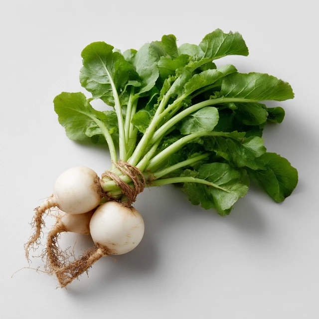 White Daikon Radish Vegetable Cutout PNG on White