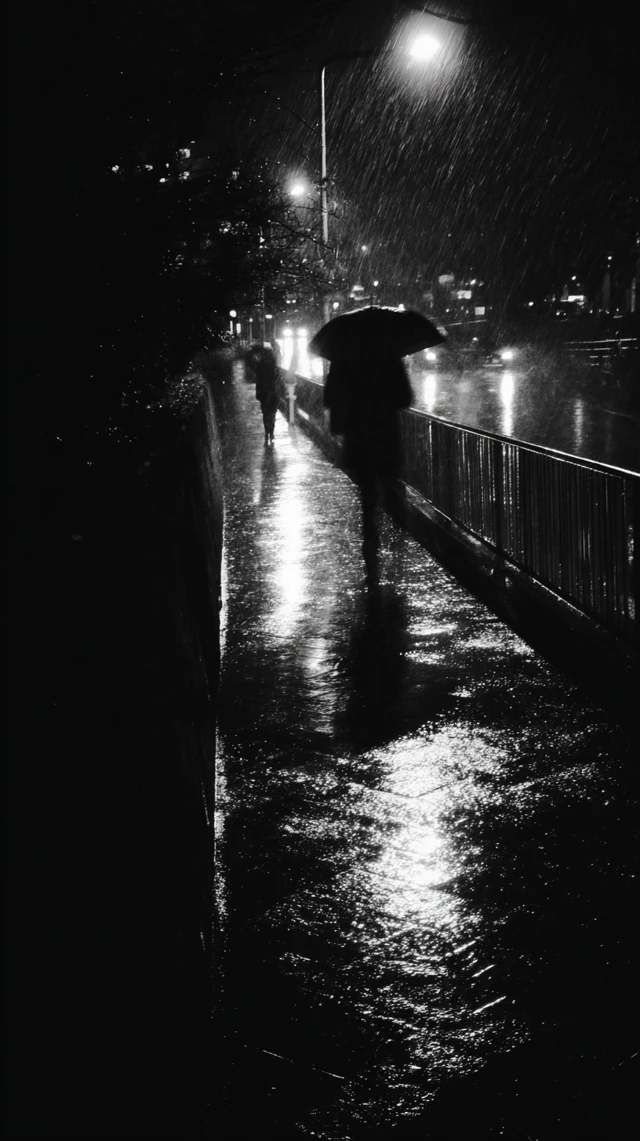 Rainy Night Photograph People in the City