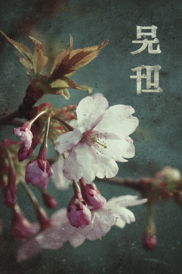 Japanese Cherry Blossoms Retro Art