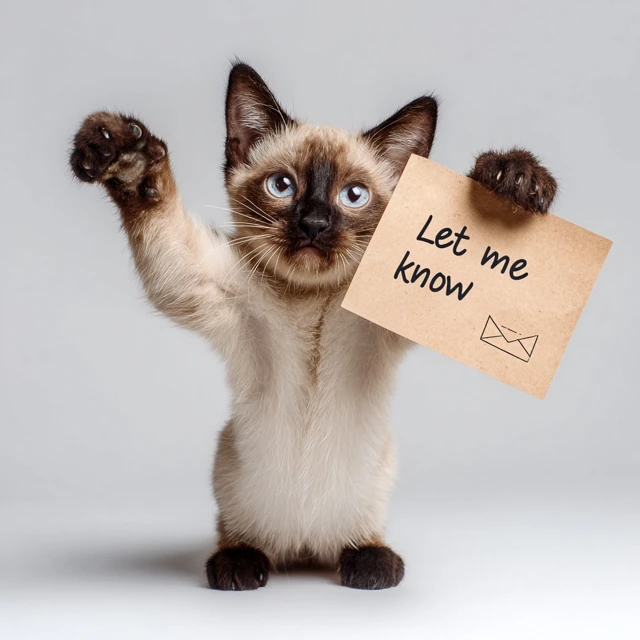 Smiling Tonkinese Kitten with Let Me Know Message