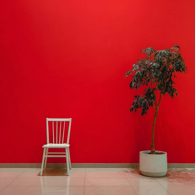 Minimalist Interior Red Chair and Plant Installation