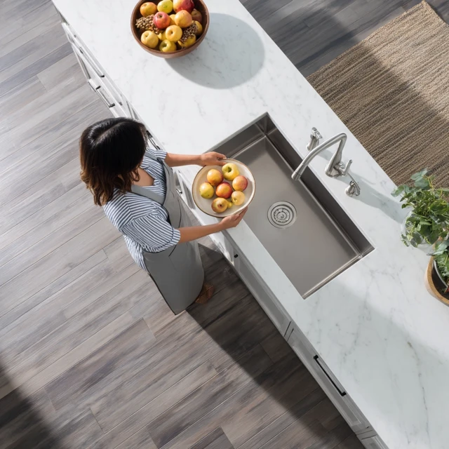 Kitchen Scene Woman Fruits and Stainless Steel Sink
