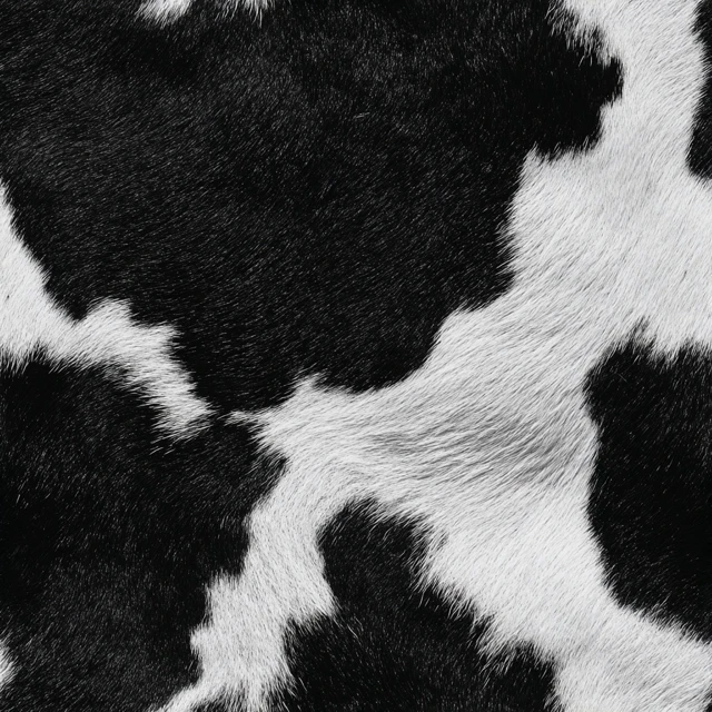 Black and White Cow Leather Texture