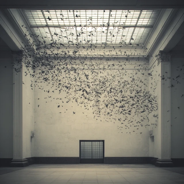 Birds Exploding Into a Room Architectural Photography