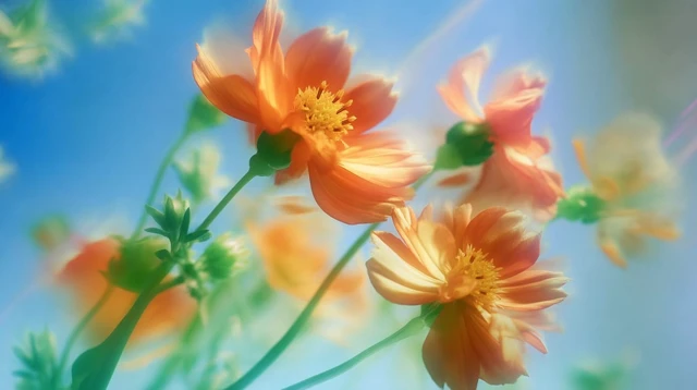 Dreamy Flowers in Pastel Colors